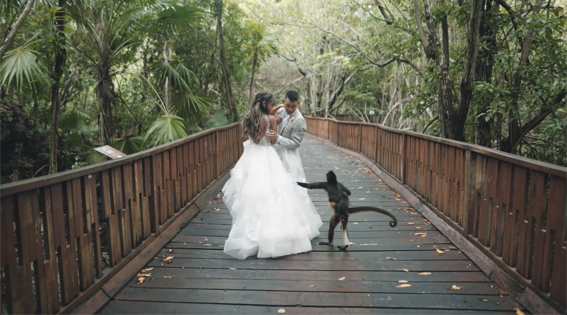 Sophie Andrew Wedding Videography Cancun Mexico by Fire Ice