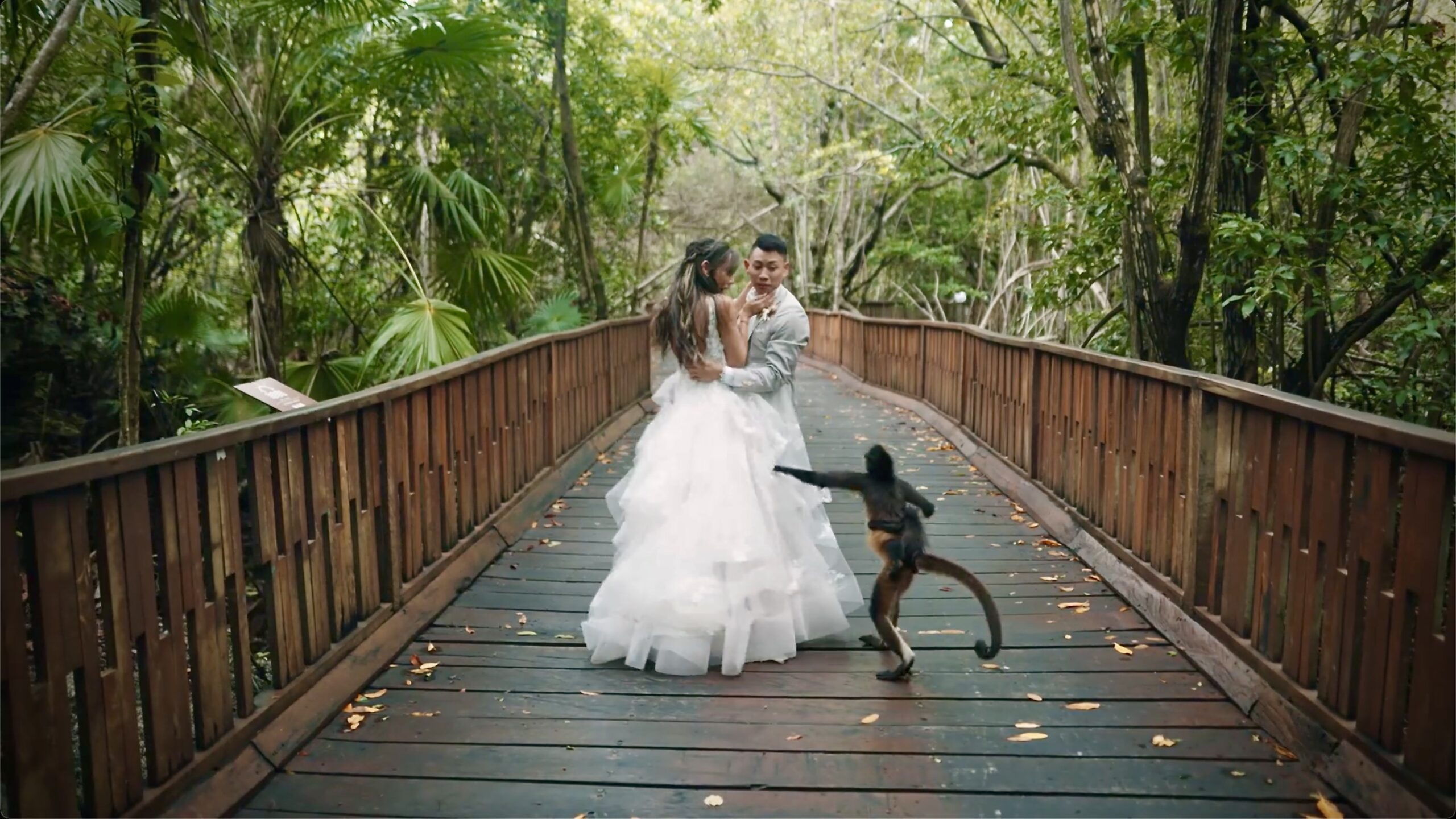 Bride & Groom dancing and monkey gatecrashes wedding | Destination wedding Cancun Mexico